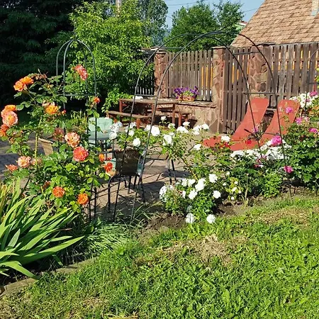 Apartament Lend In The Garden Miercurea Ciuc